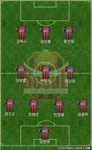 FC Seoul Formation 2014