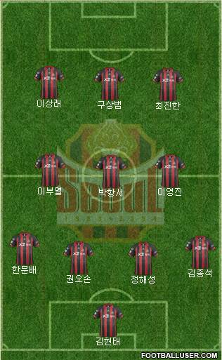 FC Seoul Formation 2014