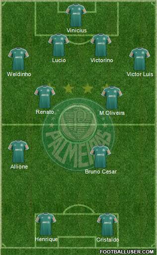 SE Palmeiras Formation 2014