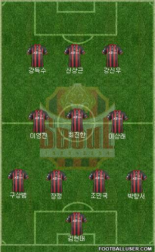 FC Seoul Formation 2014
