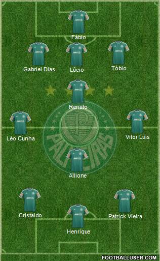 SE Palmeiras Formation 2014