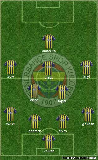 Fenerbahçe SK Formation 2014