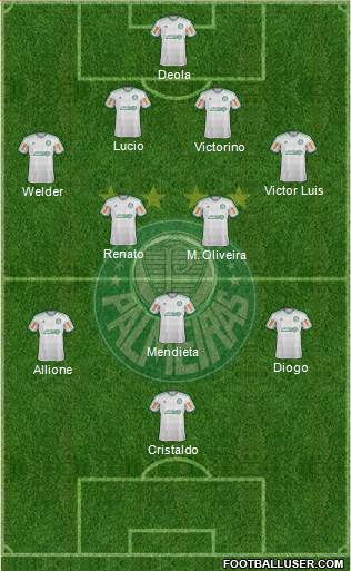 SE Palmeiras Formation 2014