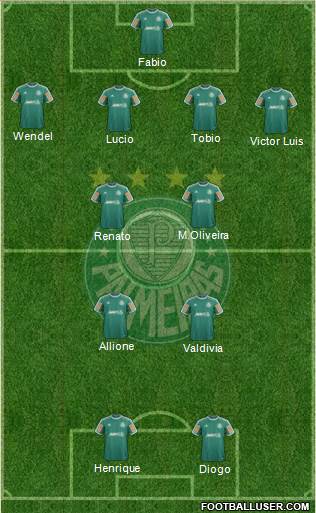 SE Palmeiras Formation 2014