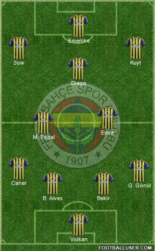 Fenerbahçe SK Formation 2014
