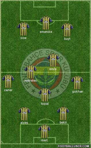 Fenerbahçe SK Formation 2014