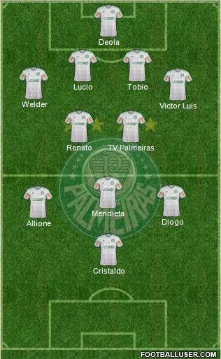SE Palmeiras Formation 2014