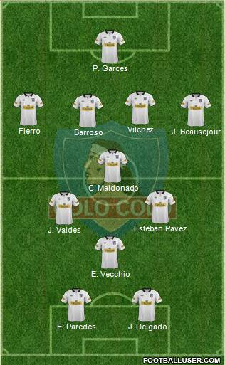 CSD Colo Colo Formation 2014