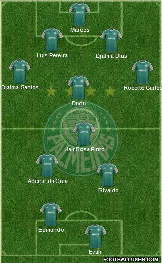 SE Palmeiras Formation 2014