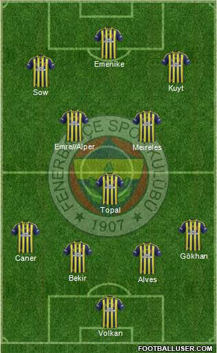 Fenerbahçe SK Formation 2014