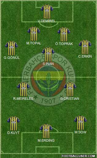 Fenerbahçe SK Formation 2014