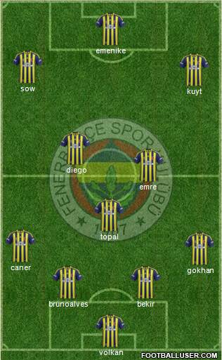 Fenerbahçe SK Formation 2014
