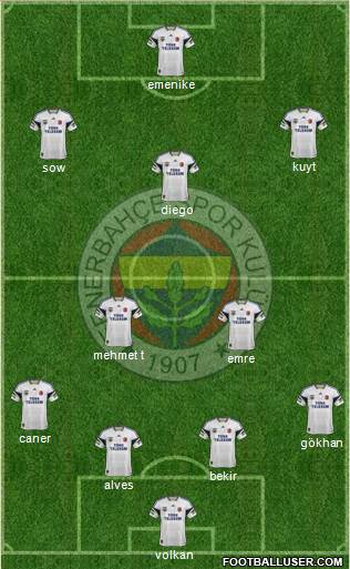 Fenerbahçe SK Formation 2014