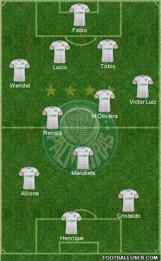 SE Palmeiras Formation 2014
