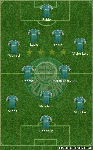 SE Palmeiras Formation 2014