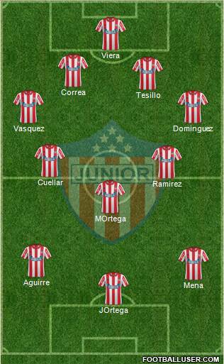 CPD Junior Formation 2014