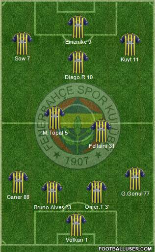 Fenerbahçe SK Formation 2014