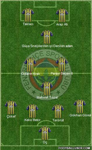 Fenerbahçe SK Formation 2014