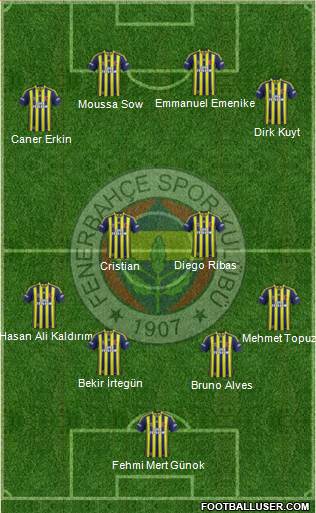 Fenerbahçe SK Formation 2014