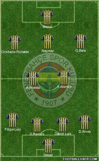 Fenerbahçe SK Formation 2014