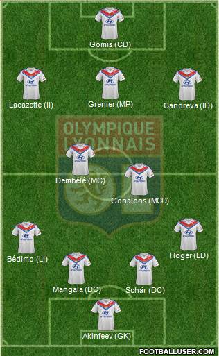 Olympique Lyonnais Formation 2014