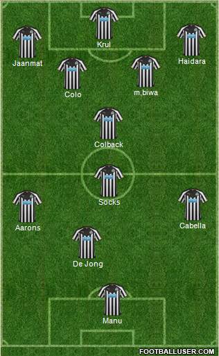 Newcastle United Formation 2014