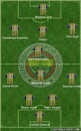 Fenerbahçe SK Formation 2014