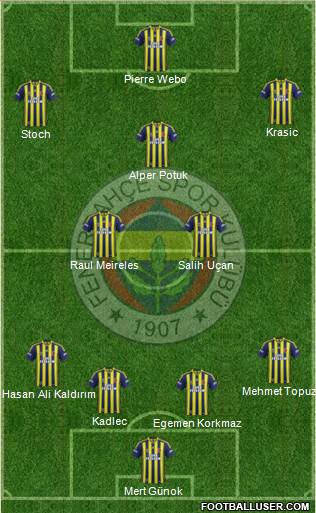 Fenerbahçe SK Formation 2014