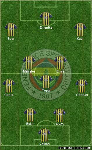 Fenerbahçe SK Formation 2014