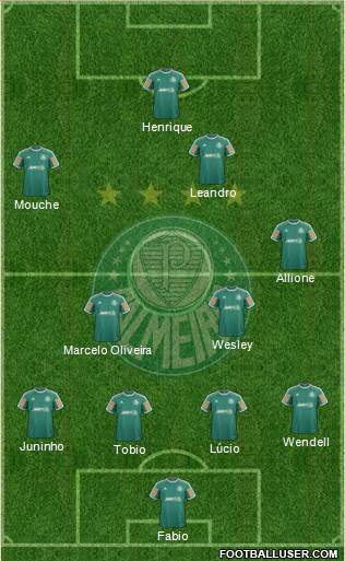 SE Palmeiras Formation 2014