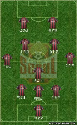 FC Seoul Formation 2014