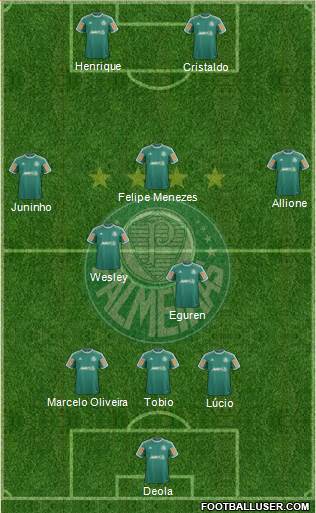 SE Palmeiras Formation 2014