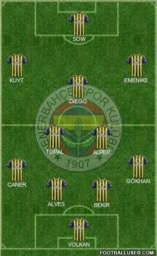 Fenerbahçe SK Formation 2014