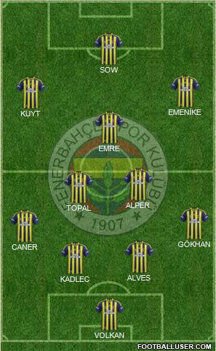 Fenerbahçe SK Formation 2014