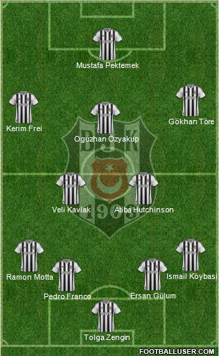 Besiktas JK Formation 2014
