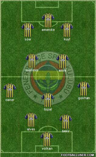 Fenerbahçe SK Formation 2014