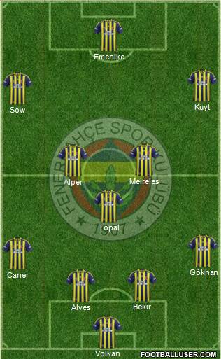Fenerbahçe SK Formation 2014