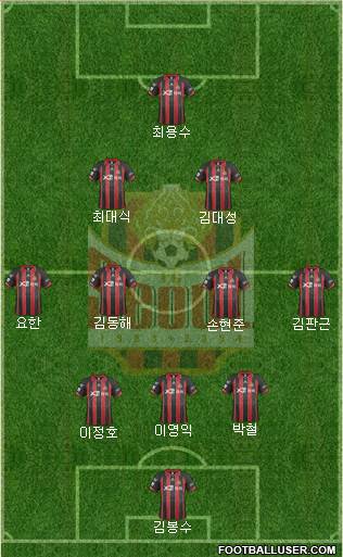 FC Seoul Formation 2014