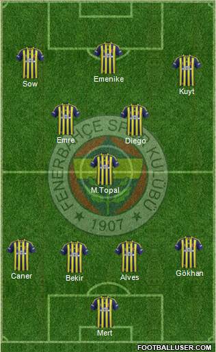 Fenerbahçe SK Formation 2014