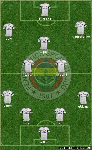 Fenerbahçe SK Formation 2014