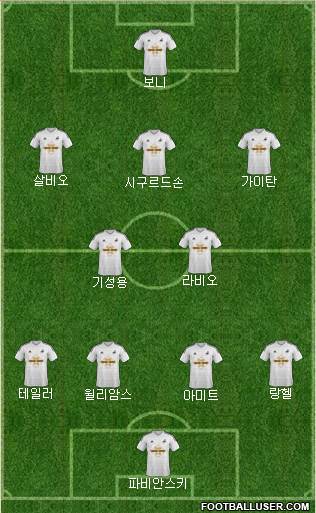 Swansea City Formation 2014