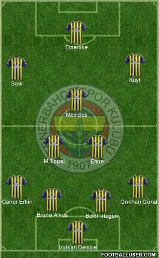 Fenerbahçe SK Formation 2014