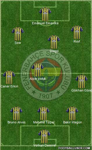 Fenerbahçe SK Formation 2014
