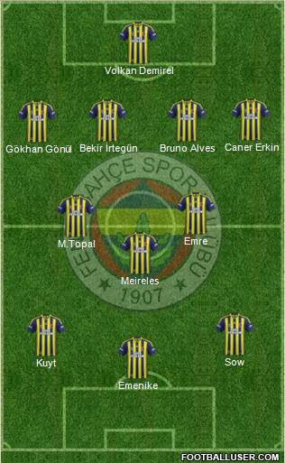Fenerbahçe SK Formation 2014