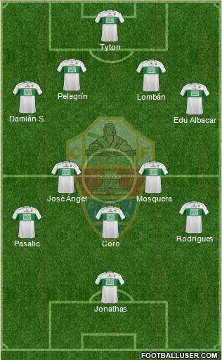 Elche C.F., S.A.D. Formation 2014