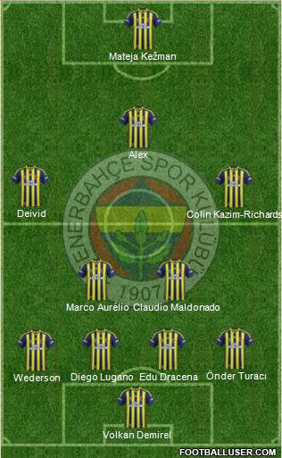 Fenerbahçe SK Formation 2014
