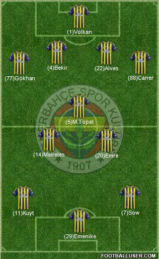 Fenerbahçe SK Formation 2014