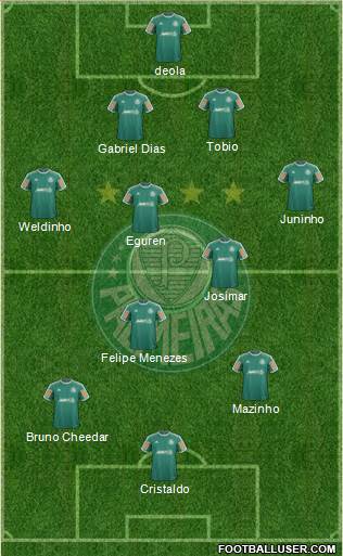 SE Palmeiras Formation 2014