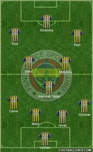 Fenerbahçe SK Formation 2014