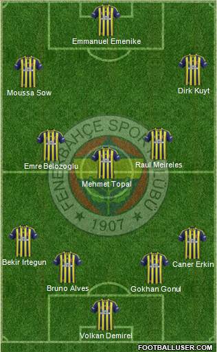 Fenerbahçe SK Formation 2014